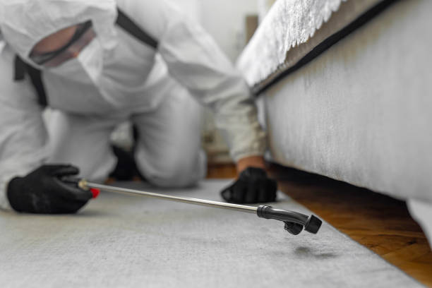 Professional Bed Bug Control technician working in Gearhart, OR